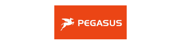 Pegasus Bikes Logo